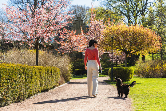Walking together with a black cocker on a spring day