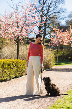 Woman with black cocker looking down in a flowering park