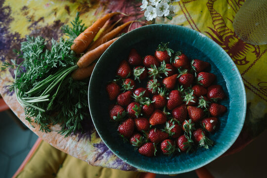 fresh food