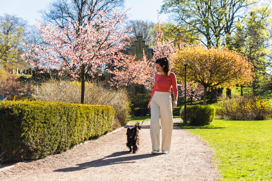 Woman walking with black cocker on a sunny path