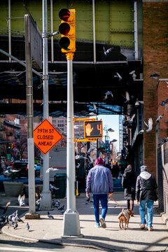 Urban  framed by pigeons 