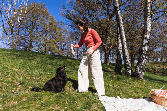 Woman playing fetch with her black cocker