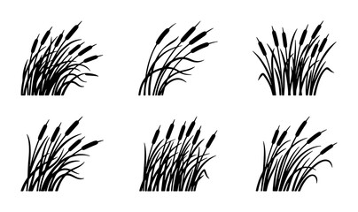 Black Silhouette Cattail Reeds Vector Set, Marsh Grass Illustrations, Wetland Plants Graphics, Nature Elements Collection © Shakil