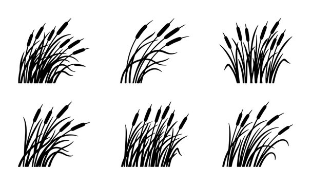 Black Silhouette Cattail Reeds Vector Set, Marsh Grass Illustrations, Wetland Plants Graphics, Nature Elements Collection