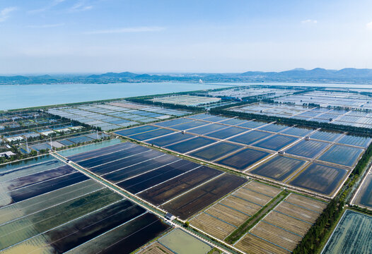  Aerial view of vast aquaculture pond fields in rural China