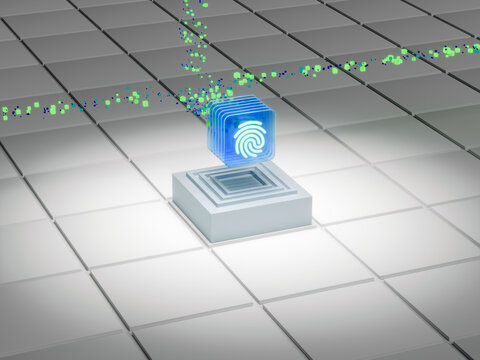 Fingerprint Recognition Technology Used for Security Purposes