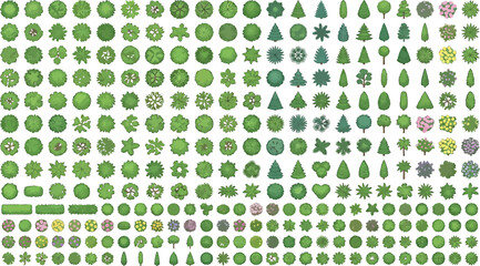 Set of top view trees, shrubs and bushes isolated on white background © SampaRani