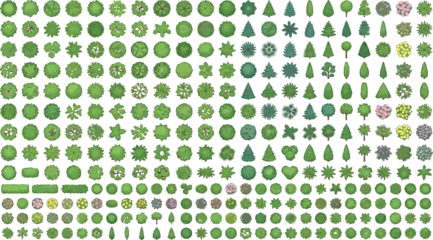 Fototapeten Weiß Set of top view trees, shrubs and bushes isolated on white background  © SampaRani