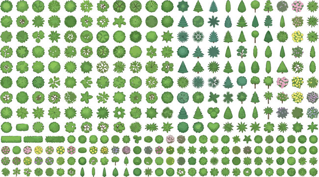 Set of top view trees, shrubs and bushes isolated on white background