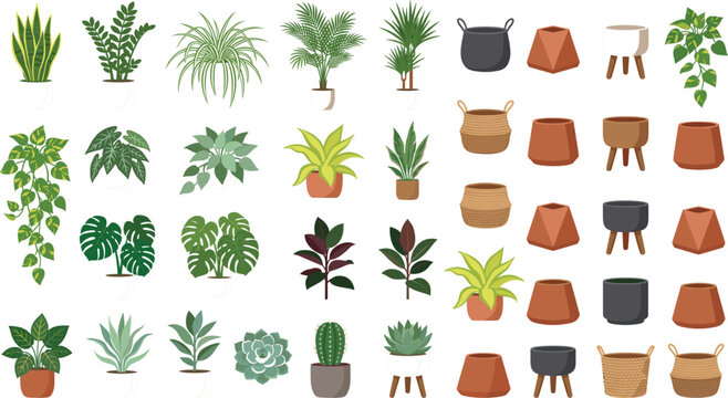 Houseplants vector constructor kit with green potted plants Monstera succulents palms and empty ceramic terracotta pots isolated on white background for interior design.