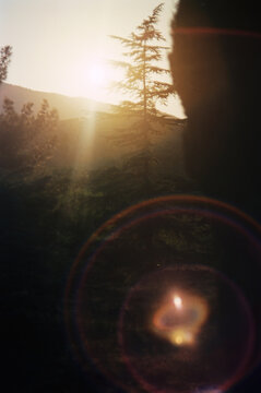 Mountain sunrise with trees ahead