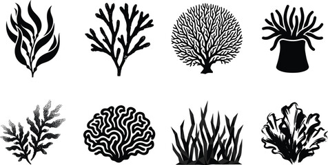 Marine seaweed and coral reef plants vector icon set black silhouettes on white background © MstMahurun