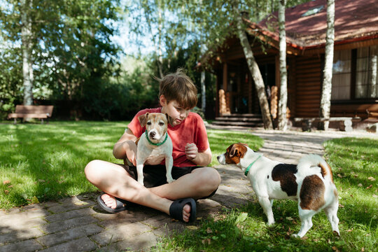 Boy Plays Joyfully With Dogs in a Sunny Backyard