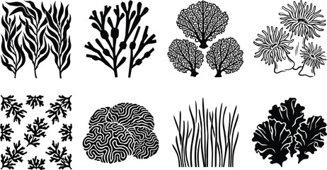 Underwater seaweed and coral reef elements vector icon set black silhouettes on white background © MstMahurun
