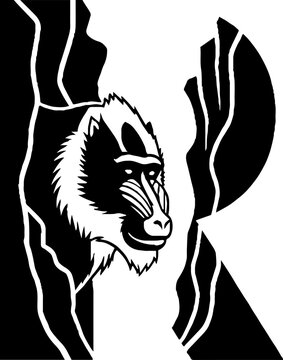 Mandril monkey profile silhouette black and white illustration.