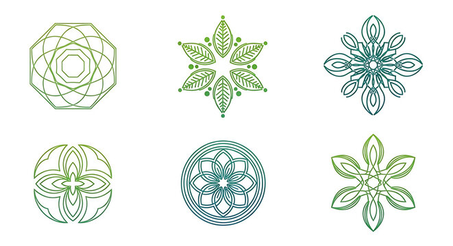 Collection of decorative circular mandala floral and leaf vector patterns with decorative patterns circular botanical ornament geometric gradient wellness elements abstract