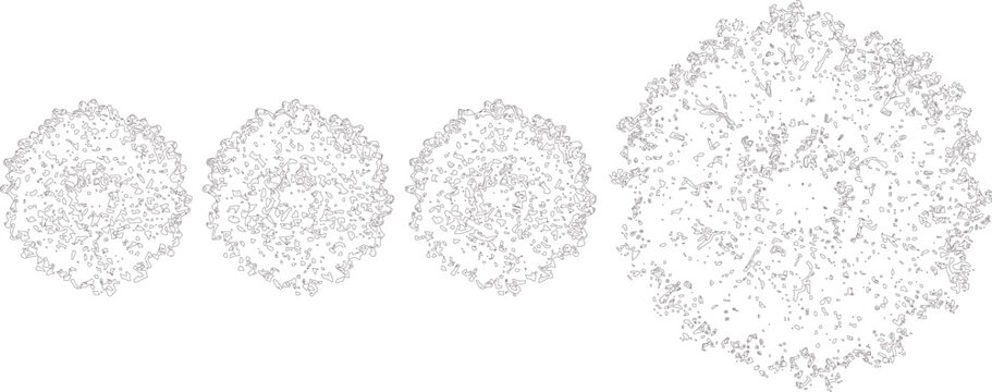Hand Drawn Tree Top View Set Outline Vector Illustration with Round Canopy Landscape and Garden Design Elements