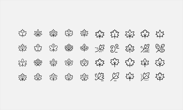 Maple Leaf on Autumn Season line art icon set vector illustration