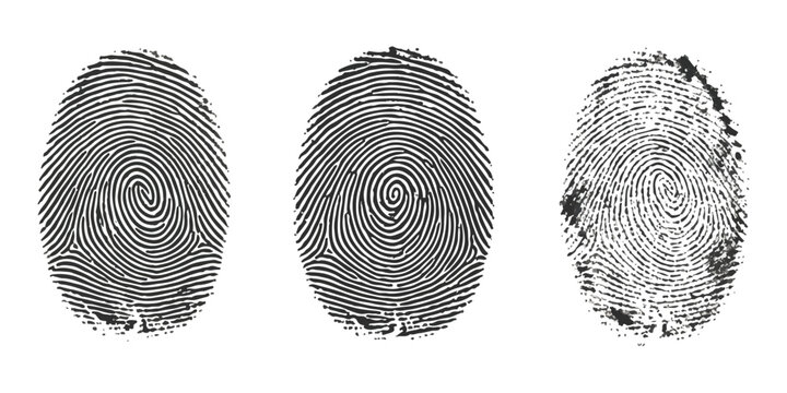 Three black fingerprint icons showing different patterns for security and identification