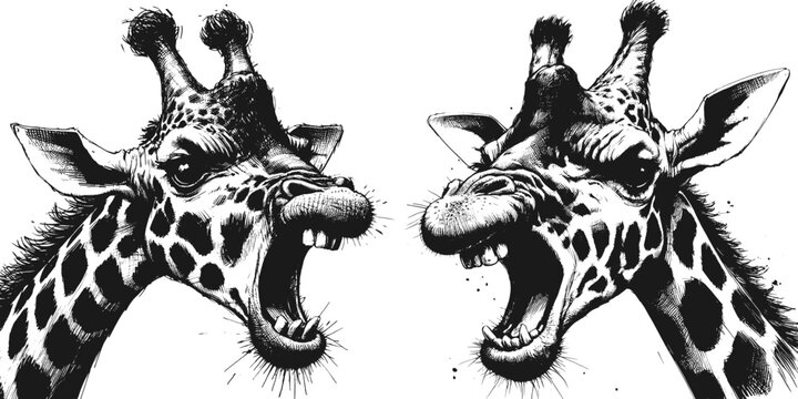 Neck and neck with fury giraffe angry line art drawing ink sketch vector hand drawn illustration vector svg