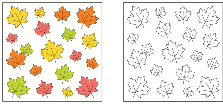Autumn maple leaves coloring page and color guide worksheet for kids, vector illustration of fall foliage outline and colored templates