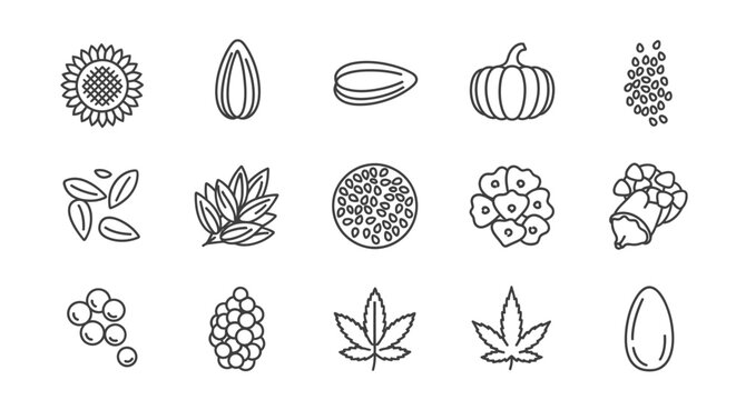Variety of Fruit and Vegetable Icons