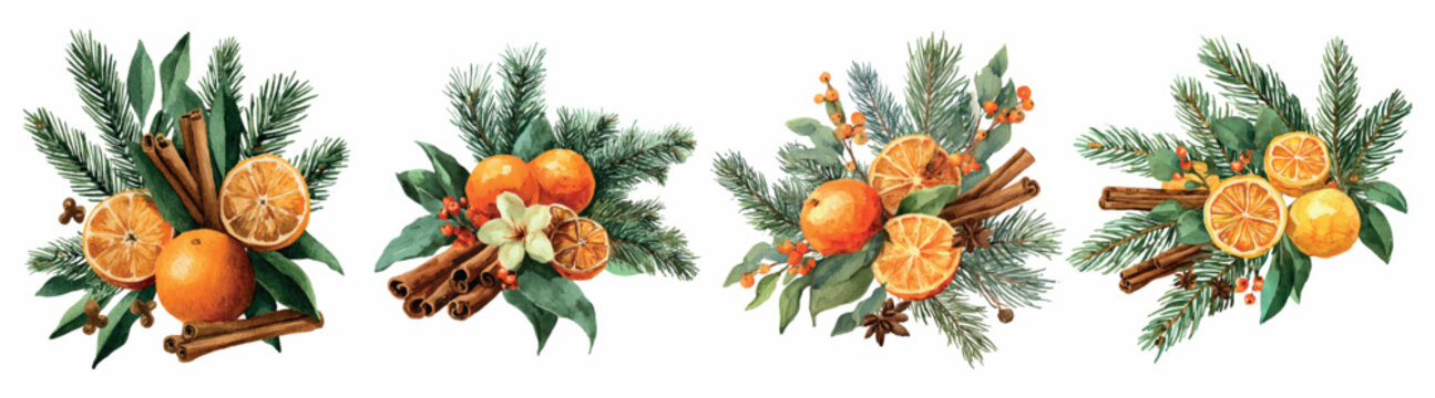 Watercolor christmas compositions of pine sprigs, whole mandarins, dried orange slices, cinnamon sticks and winter berriesrustic, fragrant seasonal elements for cards and designs