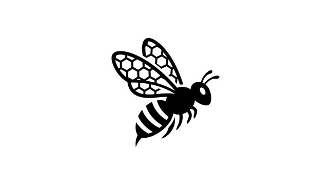 Black and White Illustration of a Bee with Detailed Wings.