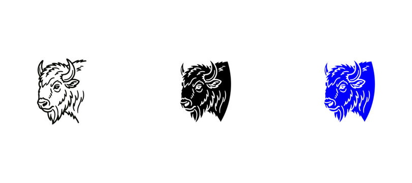 bison side