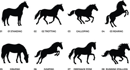 Obraz premium Horse Pose Silhouette Vector Bundle Featuring Standing Trotting Galloping Rearing Grazing Jumping Dressage and Running Stallion