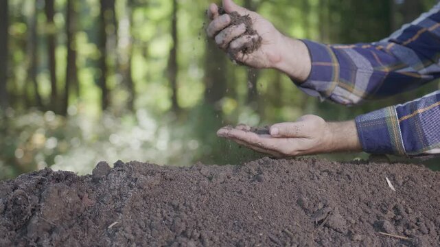 Earth day. Soil in hand. Ecology environment. Save earth, environmental concept. Environment, ecology, Earth day design. World environment day. Care earth environment.