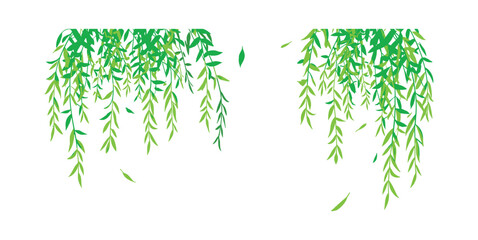Green Willow Leaves: A tranquil scene showcasing cascading green willow branches and leaves, gently swaying in the breeze, evoking a sense of calm and natural beauty. © Formora Graphics