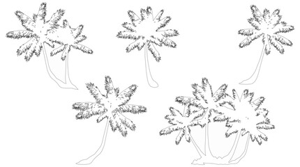 Fototapeta premium Tropical palm illustrations — stylized artistic representations of palm trees