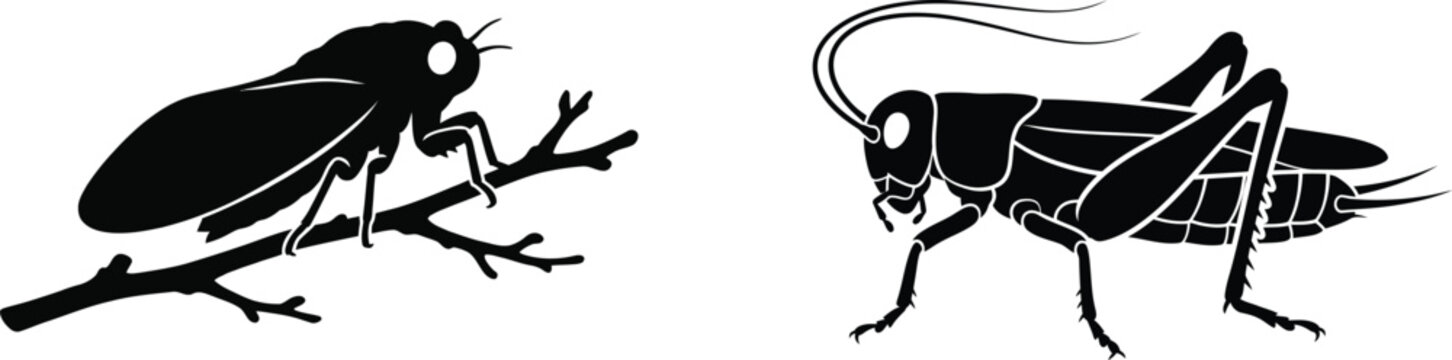 Black silhouettes of cricket and grasshopper insects