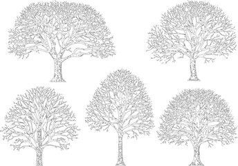 Five detailed tree silhouettes with bare branches and trunks displayed in a horizontal arrangement against grey checkered background. © MD ALI STOCK