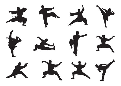 illustration silhouette shaolin fight move collection set
