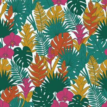 Tropical foliage pattern with vibrant orchids and bromeliads during daylight isolated on white background