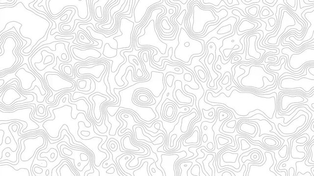 Thin, abstract black topographic contour lines continuously shifting and morphing across a solid white background, geographic cartography map layout animation video