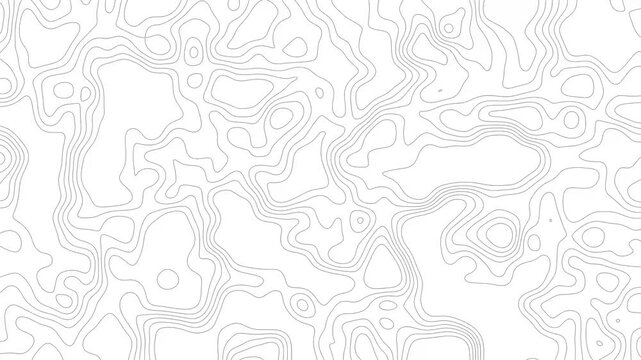 Thin, abstract black topographic contour lines continuously shifting and morphing across a solid white background, geographic cartographic map layout animation video