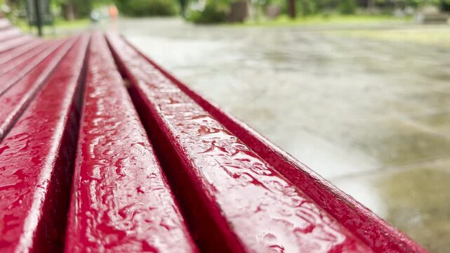 Rainwater coats a wet red wooden bench in a public park. A lone pigeon walks across the blurry wet pavement in the background.