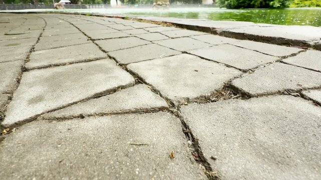 A stone walkway curves gently forward. It runs along the edge of a green fountain pool inside a public park. The bright day creates a peaceful atmosphere.