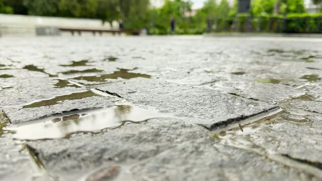 Puddles of water reflect light on wet stone pavement. The ground shines after rain in a blurry green city park. The atmosphere feels calm and refreshing.
