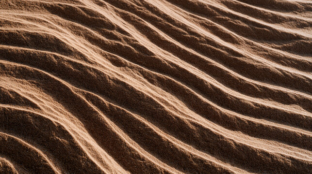 sand texture aerial minimal desert surface rippled by autumn wind into precise parallel ridges viewed directly overhead revealing natural topographic patterns across uninhabited