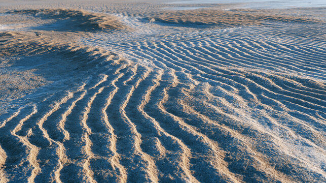 sand texture aerial minimal desert surface rippled by autumn wind into precise parallel ridges viewed directly overhead revealing natural topographic patterns across uninhabited