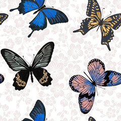 Fototapeta premium Colorful Watercolor Butterfly Seamless Pattern on Pale Floral Background