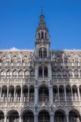 Obraz premium Brussels is the capital of Belgium, the French Community of Belgium, and the Flemish Community. It is also the de facto capital of the European Union.