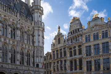 Fototapeta premium Brussels is the capital of Belgium, the French Community of Belgium, and the Flemish Community. It is also the de facto capital of the European Union.