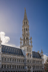 Obraz premium Brussels is the capital of Belgium, the French Community of Belgium, and the Flemish Community. It is also the de facto capital of the European Union.