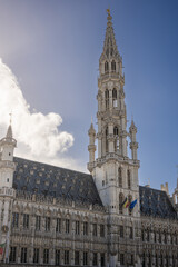 Obraz premium Brussels is the capital of Belgium, the French Community of Belgium, and the Flemish Community. It is also the de facto capital of the European Union.