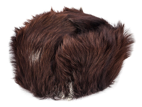Nutria fur hat isolated on white background.
